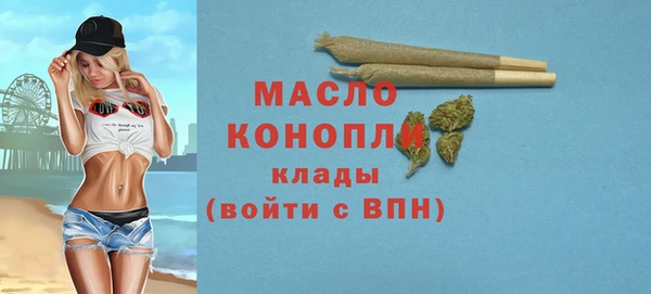 тгк Вяземский