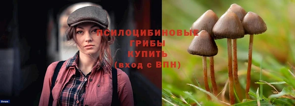 mdpv Верея