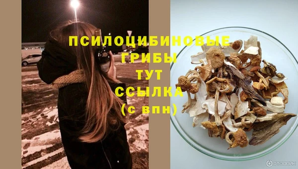 mdpv Верея