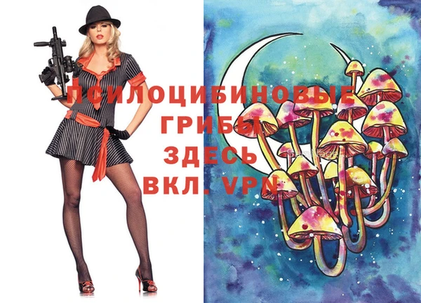 mdpv Верея