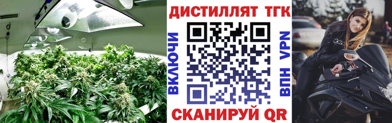 ТГК вейп  купить закладку  Махачкала 