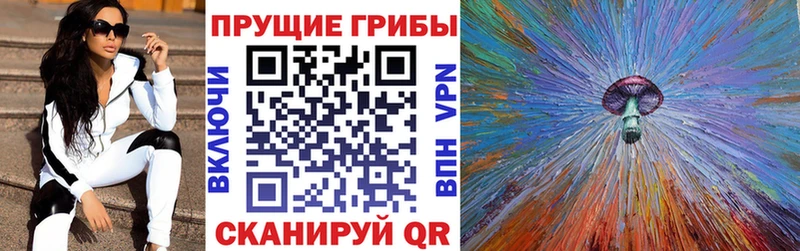 Галлюциногенные грибы ЛСД  сайты даркнета Telegram  Махачкала 
